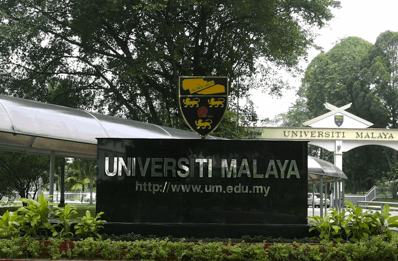 Malay Mail Universiti Malaya has been showing great improvement in the world rankings.